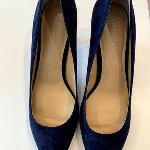 Ann Taylor Navy Suede Pumps